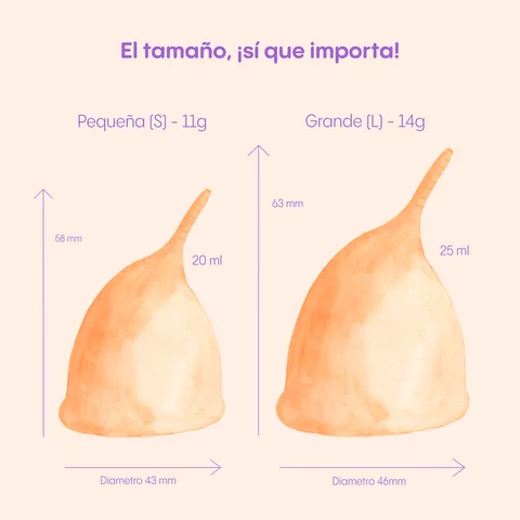 Comparativa visual de las tallas S y L de PapayaCup