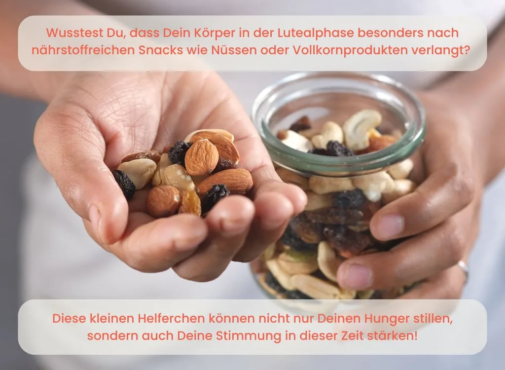 der weibliche Zyklus: Ernährung und Hormonhaushalt für deinen Zyklus