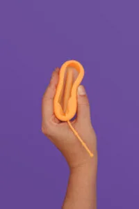 Menstruationsscheibe einsetzen
