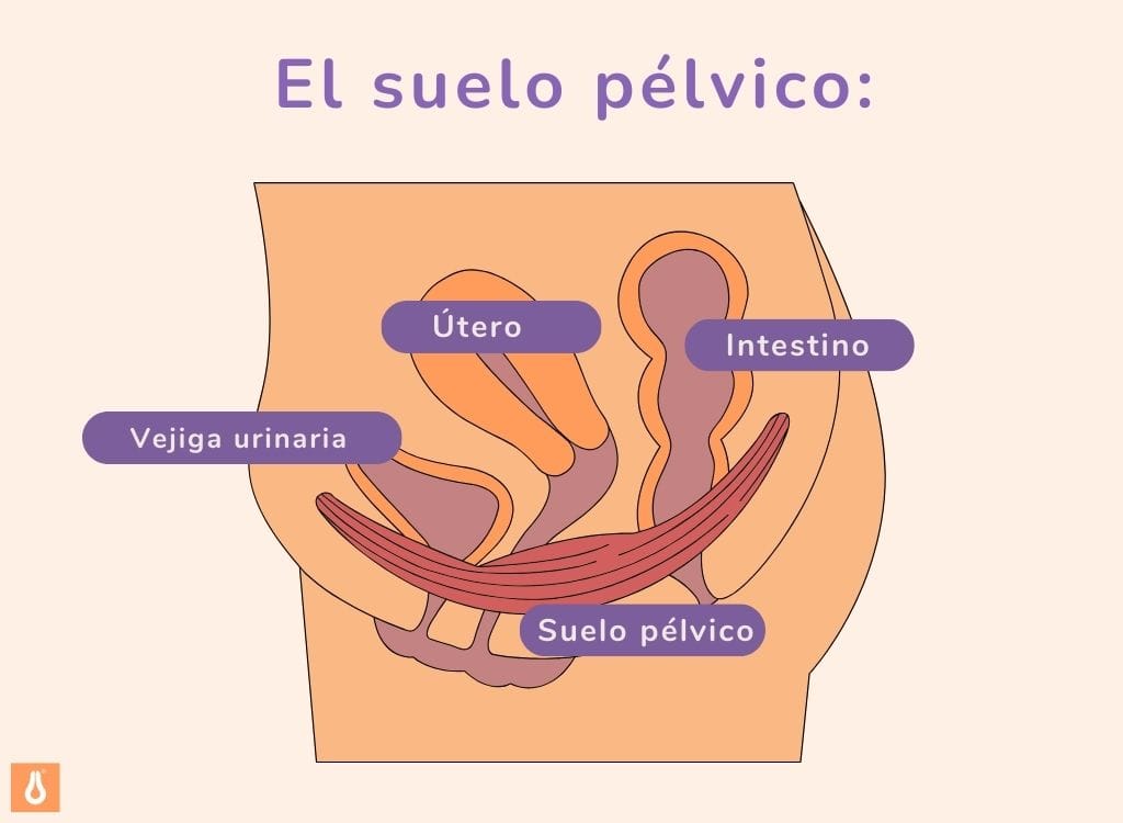 ES