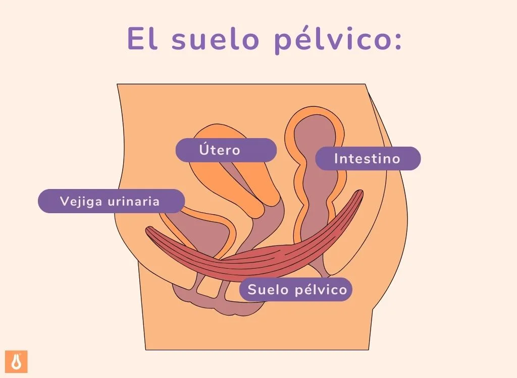 ES