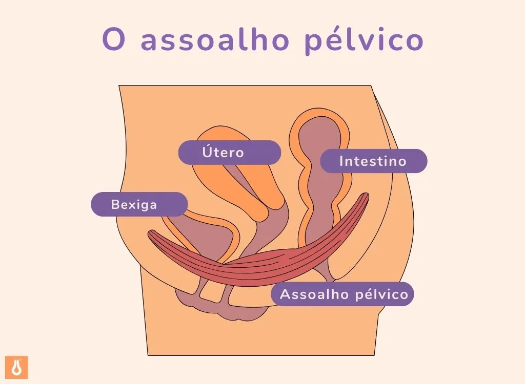 PT