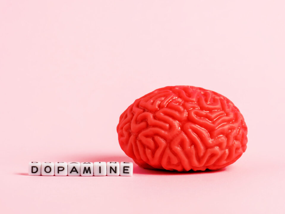 Brain and chips with the word dopamine representing motivation and daily well-being.
