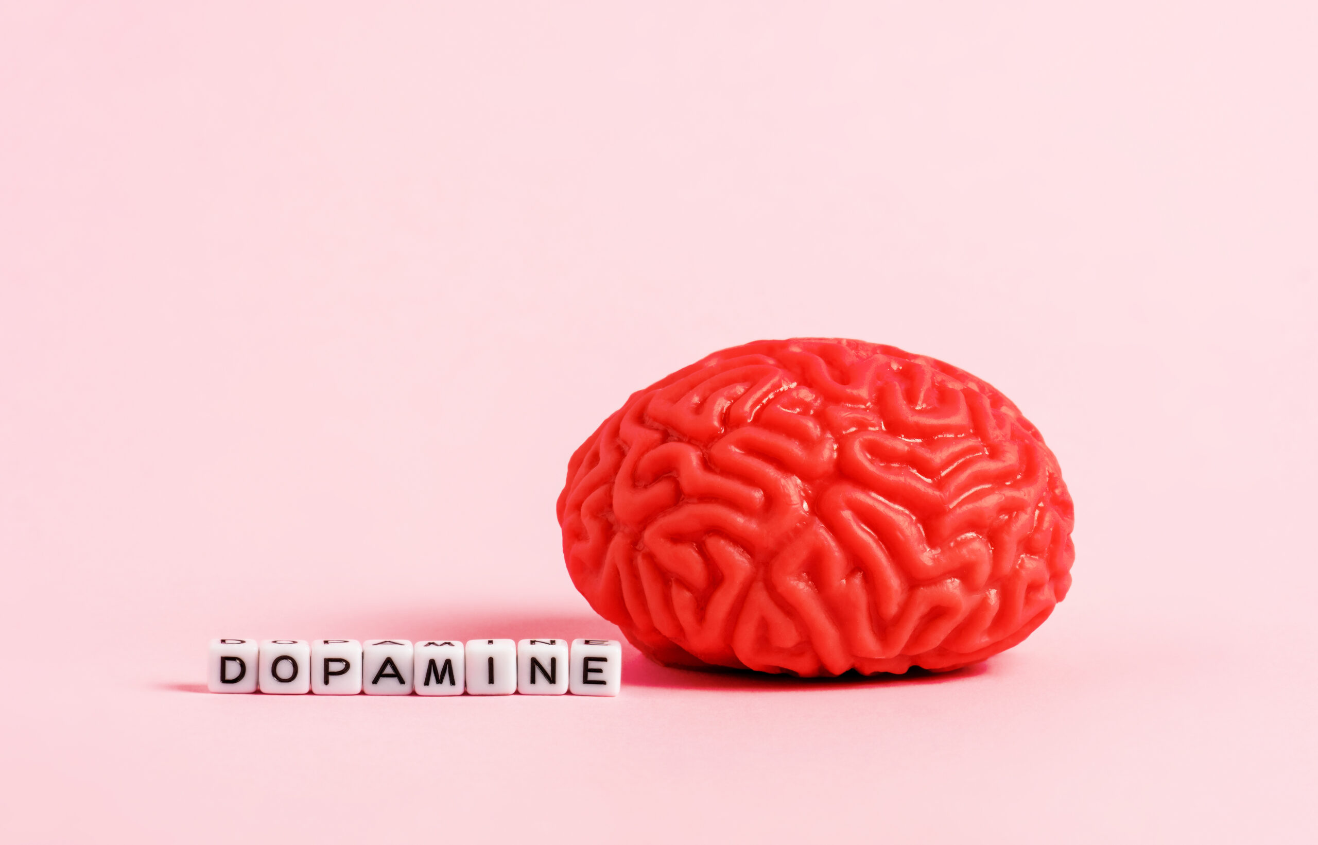 Brain and chips with the word dopamine representing motivation and daily well-being.