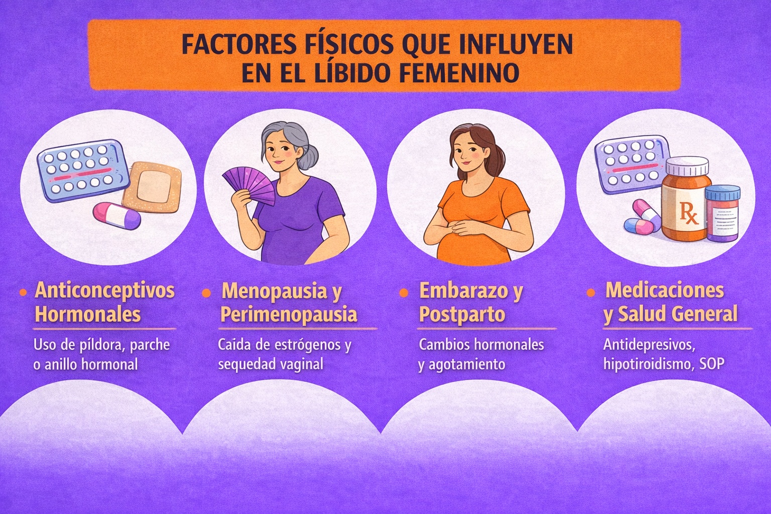 Infografía sobre los factores físicos que influyen en el líbido femenino: anticonceptivos hormonales, menopausia, embarazo y medicación