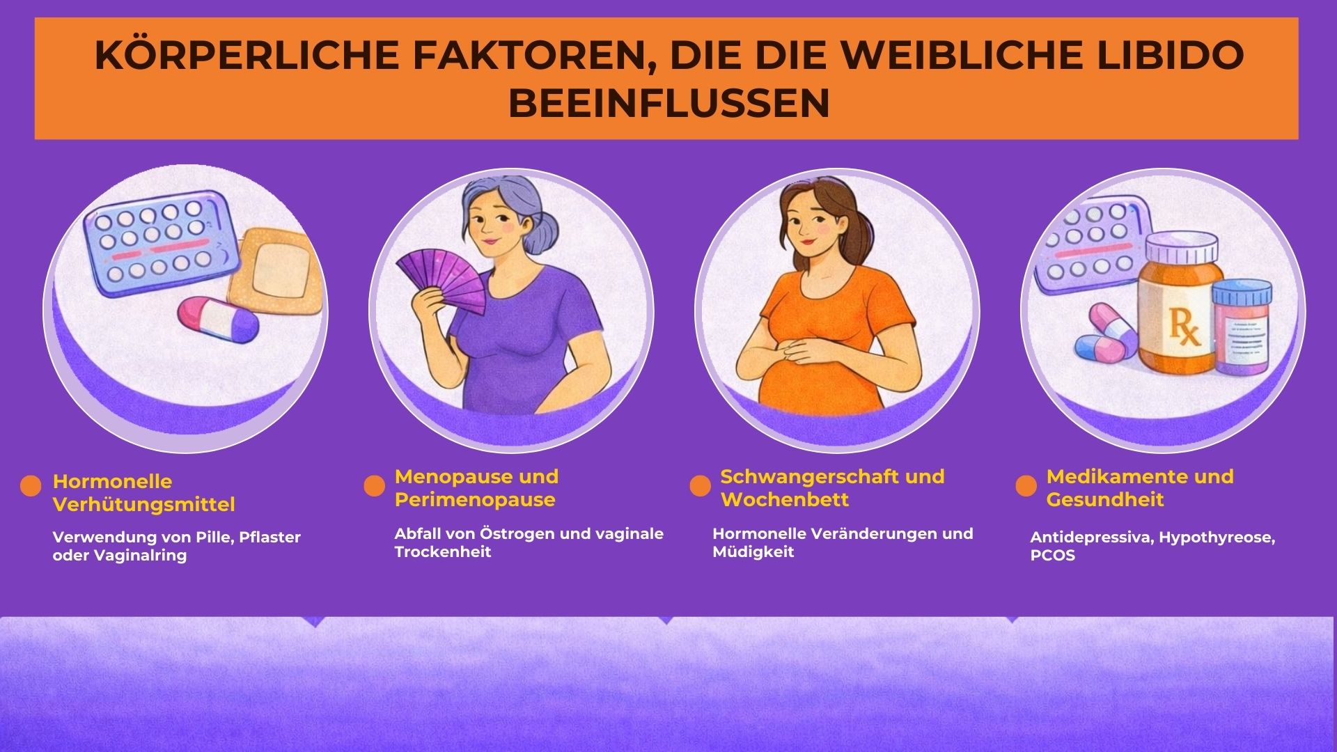 Infografik über körperliche Faktoren, die die weibliche Libido beeinflussen: hormonelle Verhütung, Menopause, Schwangerschaft und Medikamente.