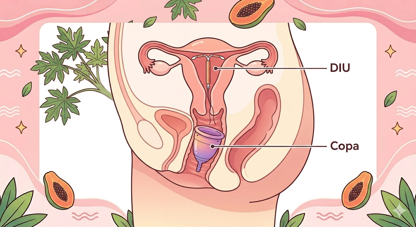 Ilustración posición DIU y copa menstrual en el cuerpo