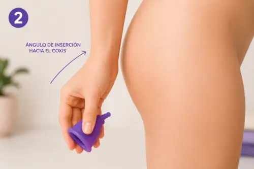 paso 2 como saber si te has puesto bien la copa menstrual papayacup