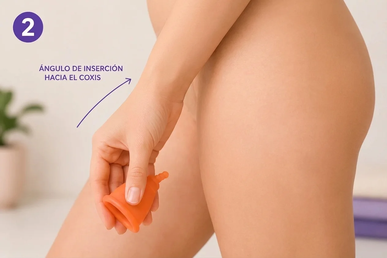paso 2 como saber si te has puesto bien la copa menstrual papayacup