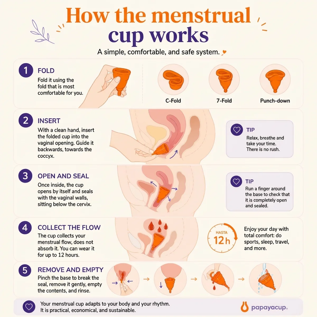 graphic explanation of how the papayacup menstrual cup works