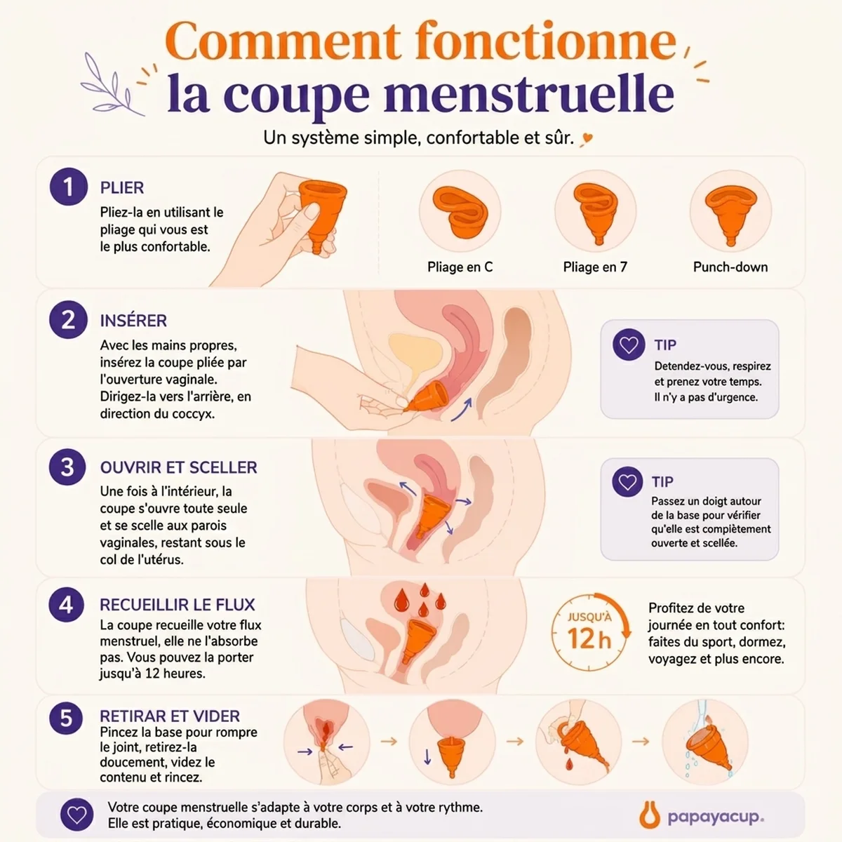 explication graphique sur comment fonctionne la coupe menstruelle de papaya cup