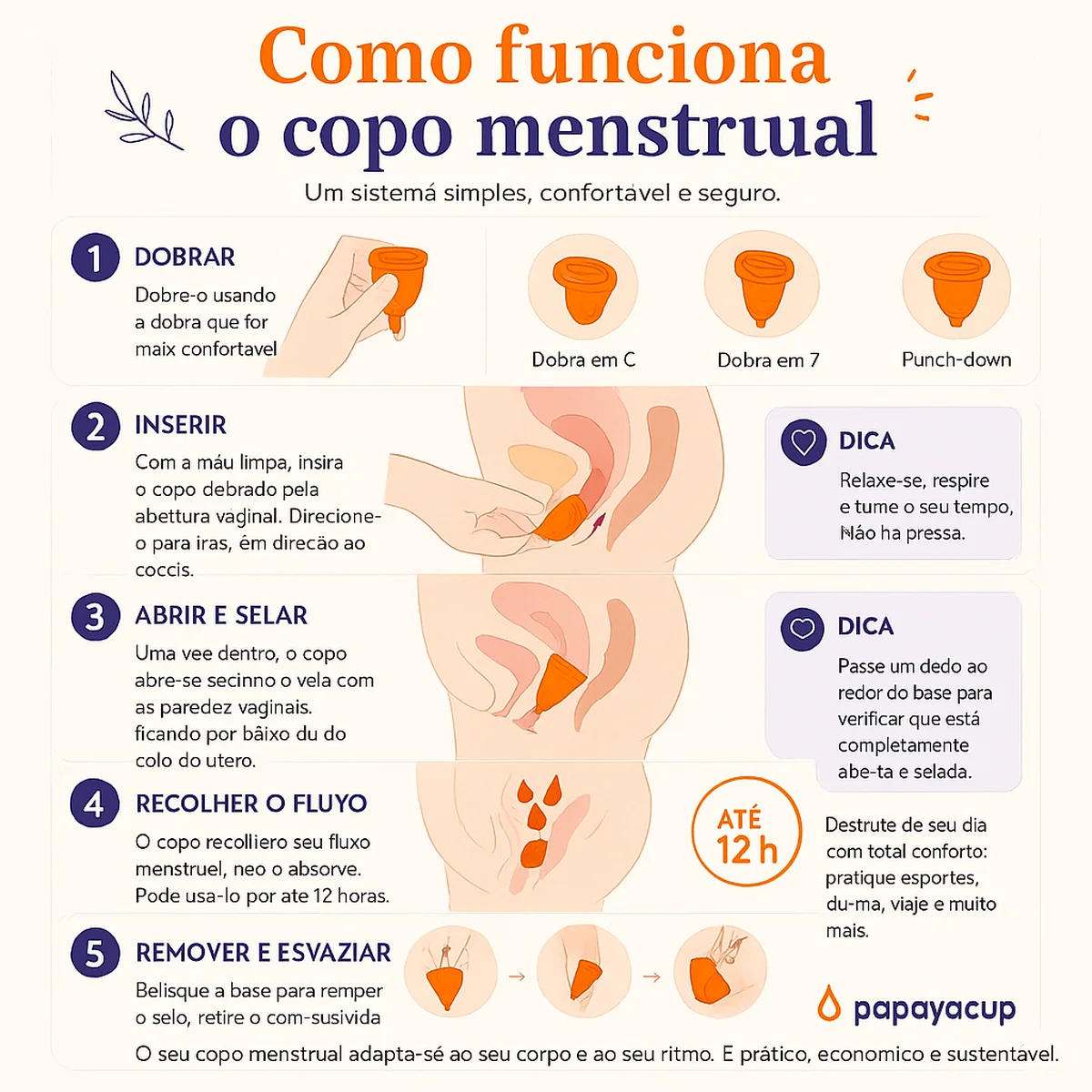 explicação gráfica sobre como funciona o coletor menstrual da papaya cup