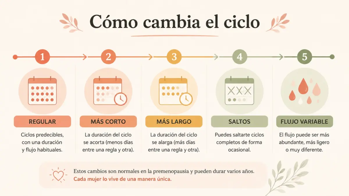 infografia sobre como cambia el ciclo durante la premenopausia