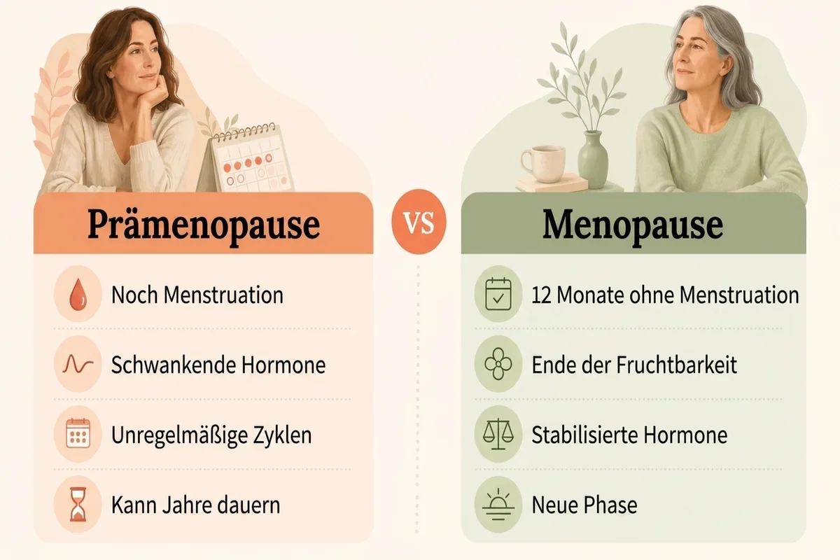 Infografik, die Symptome der Prämenopause vs. Menopause vergleicht