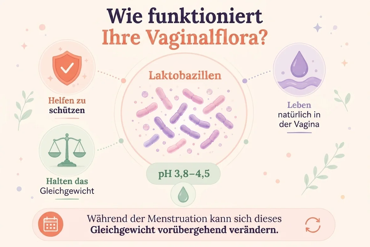 Infografik über die Funktionsweise der vaginalen Flora