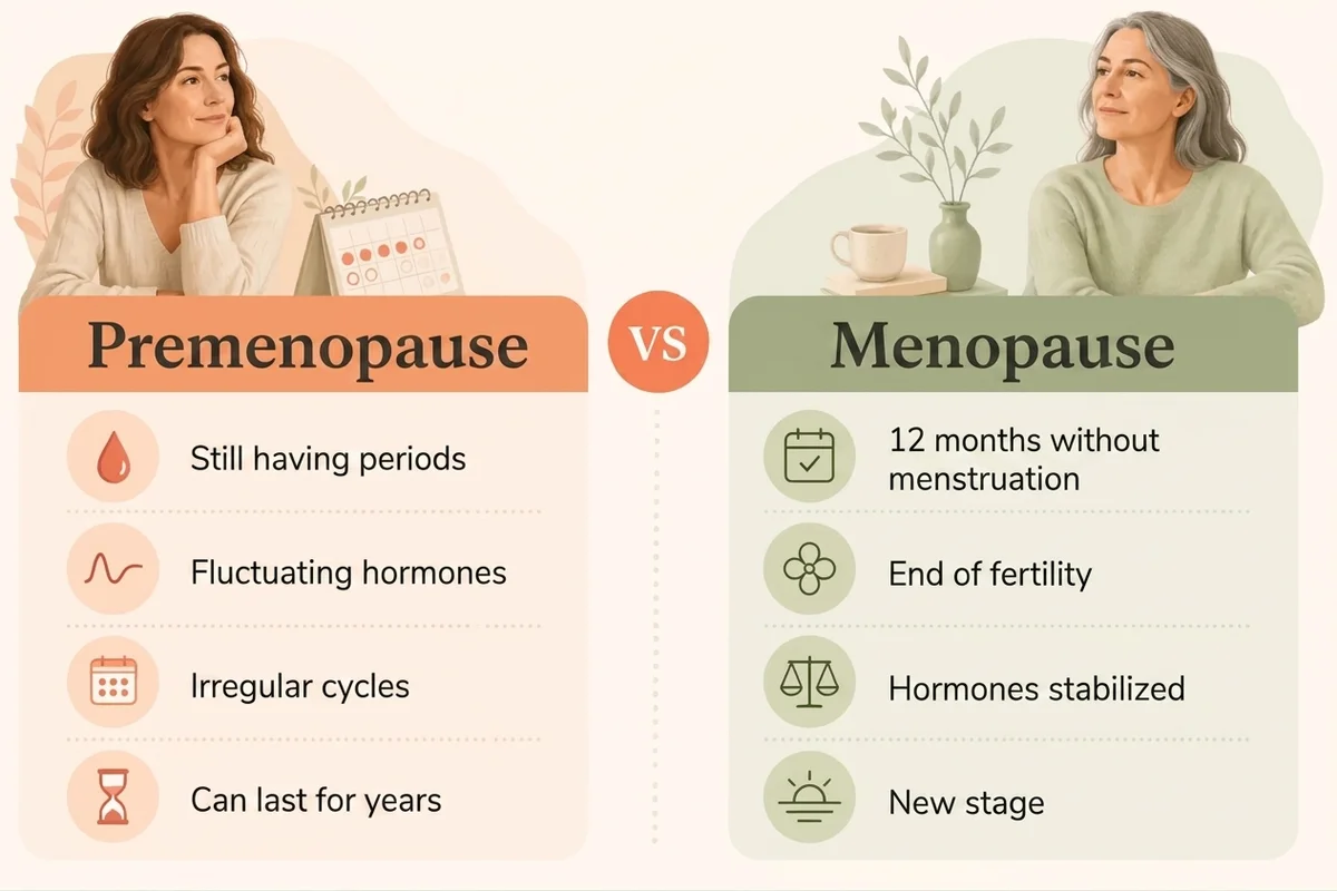 infographic comparing symptoms of perimenopause vs menopause