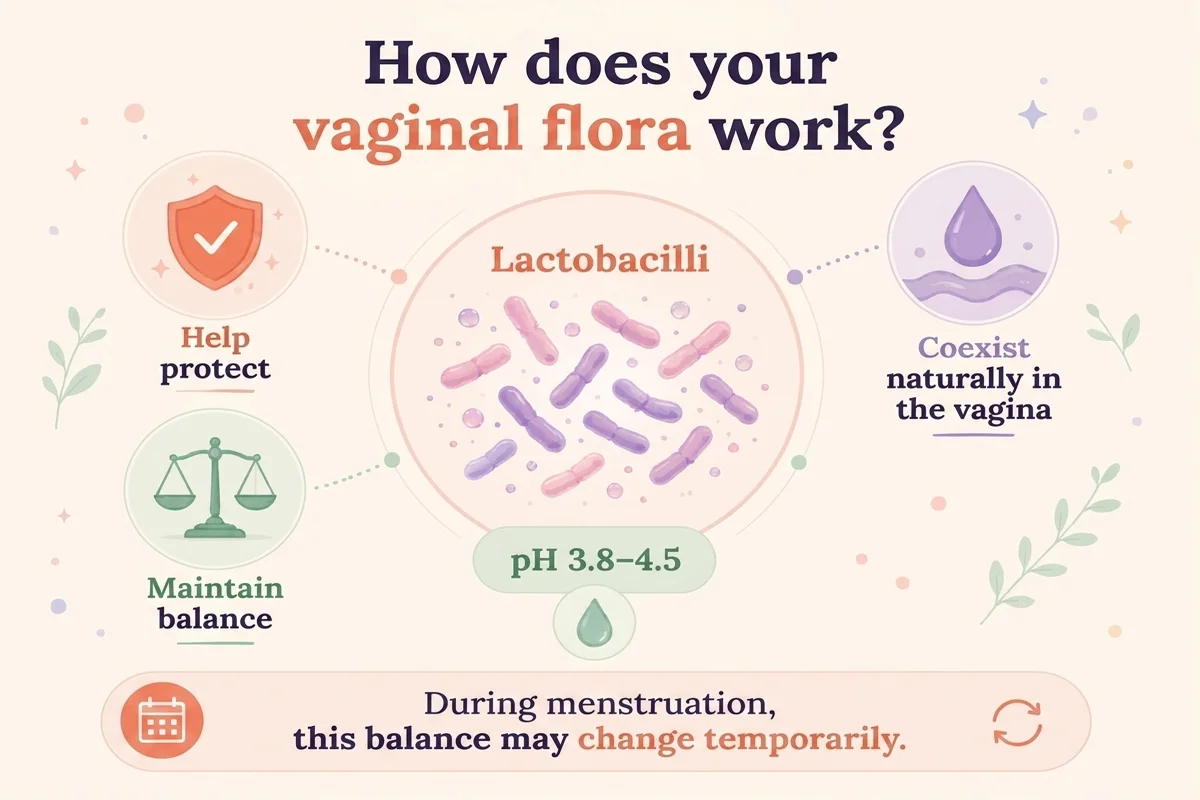 infographic on how vaginal flora works
