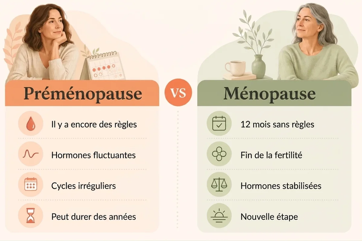 infographie qui compare symptômes de préménopause vs ménopause