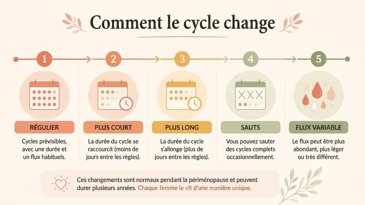 infographie sur comment change le cycle pendant la préménopause