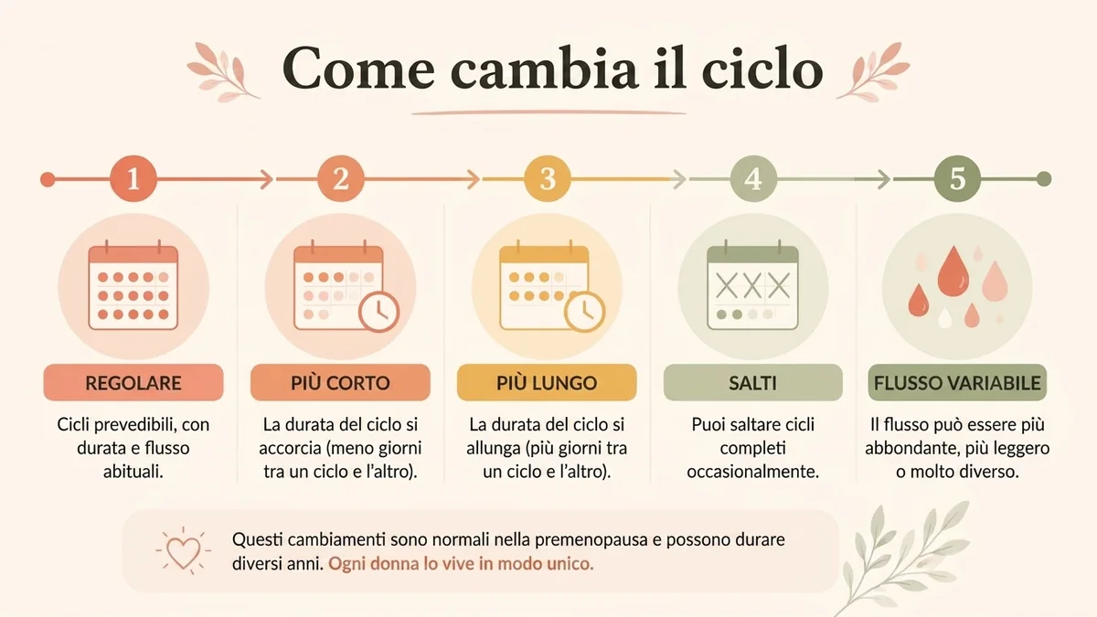 infografica su come cambia il ciclo durante la premenopausa