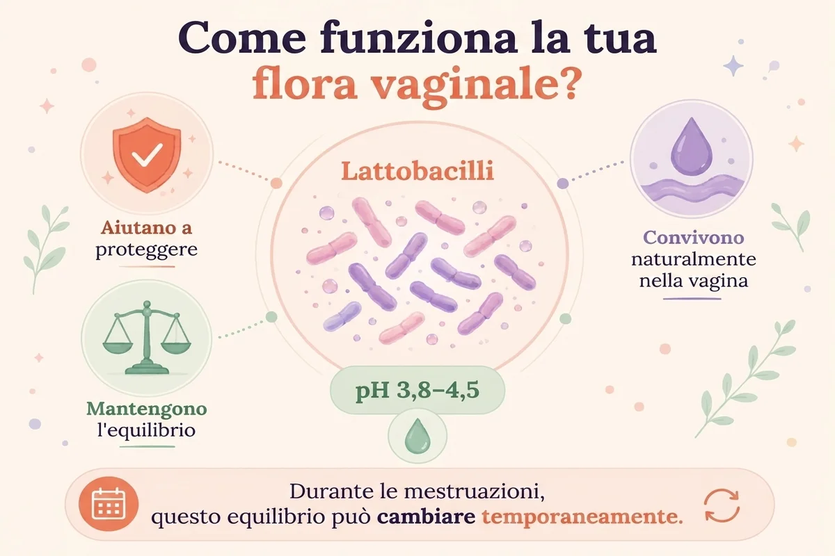 infografica su come funziona la flora vaginale