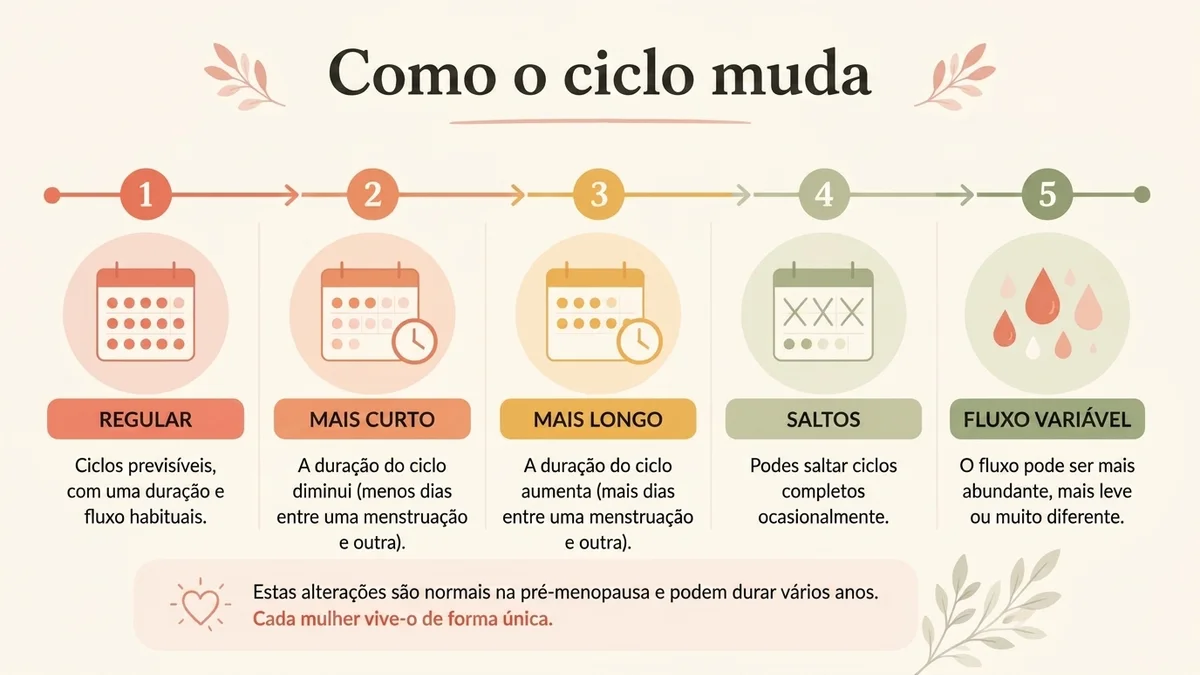 infografia sobre como muda o ciclo durante a pré-menopausa